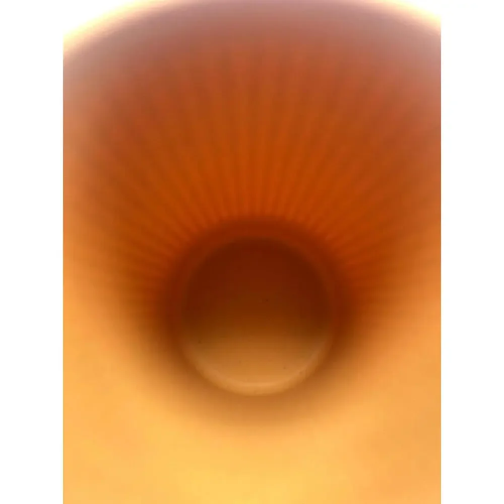 Dandat 16 Pcs Wheat Straw Cup - Picture 8 of 15